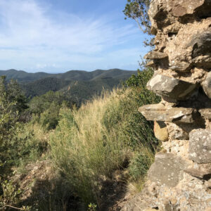 castel-maus